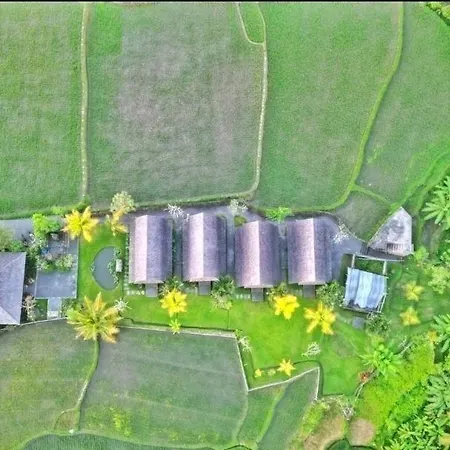 Studio With Kitchen, Surrounded By Ricefield By Ilys Collection