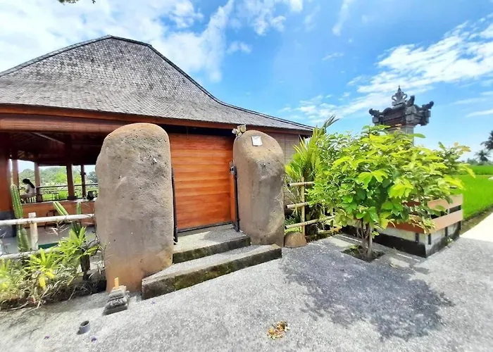 Coco Non Ac In Ubud, Pvt Kitchen By Ilys C Appartement *