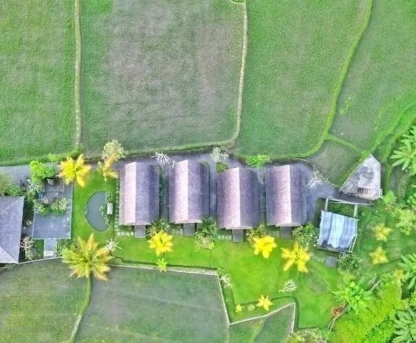 Coco Non Ac In Ubud, Pvt Kitchen By Ilys C Appartement *